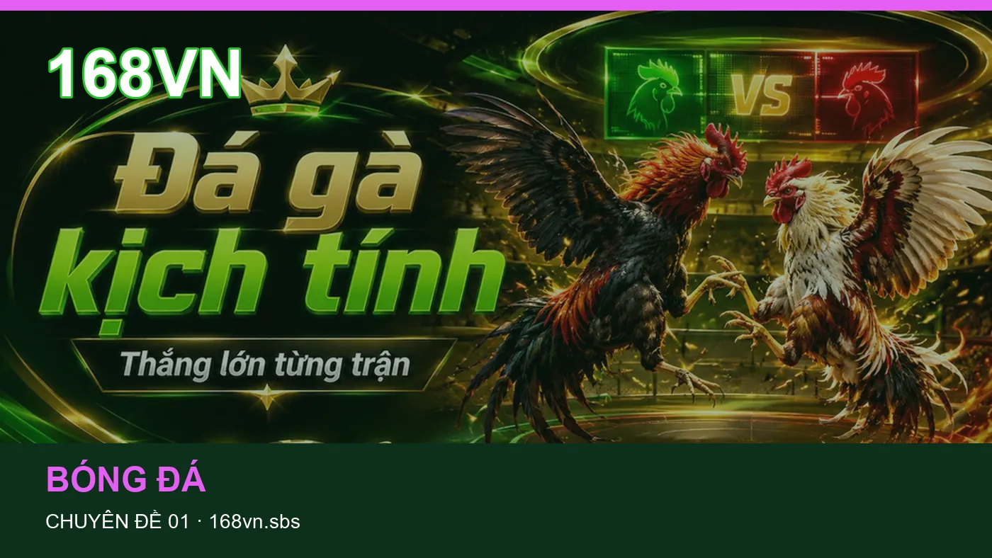Bảo vệ dữ liệu cá nhân khi tìm hiểu Thuật ngữ kèo tại 168VN